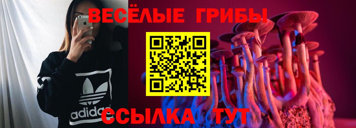 Галлюциногенные грибы Cubensis  цены   Конаково  Вход с VPN 